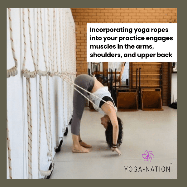 Iyengar yoga wall ropes
