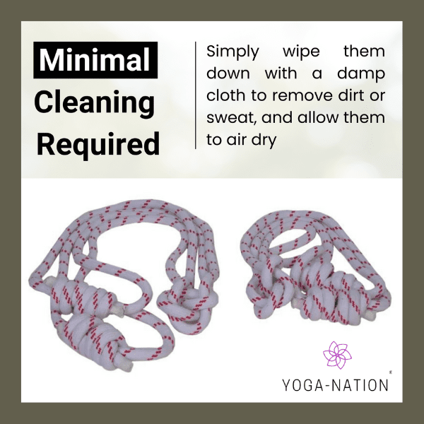 Iyengar ropes wall pune